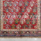 tappeto persiano antico gashgai fondo rosso con i botteh senza il medaglione 237x154 cm