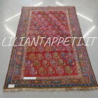 tappeto persiano antico gashgai fondo rosso con i botteh senza il medaglione 237x154 cm