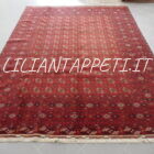 grande tappeto bukhara afghano lana su cotone fondo rosso 335x252 cm