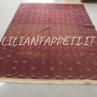 grande tappeto bukhara afghano lana su cotone fondo rosso 335x252 cm