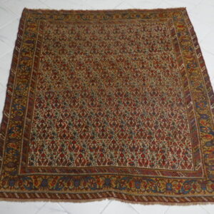 antico tappeto persiano afshari neyriz quadrato fondo avorio