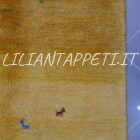 tappeto persiano moderno Gabbeh gashgai fondo giallo da salotto in lana 236x195 cm