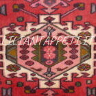 tappeto fondoletto persiano gharaje fondo rosso 197x71 cm