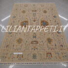 tappeto orientale ziegler floreale fondo champagne da salotto in lana 237x170 cm