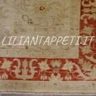 tappeto orientale ziegler fondo avorio da salotto in lana 179x122 cm