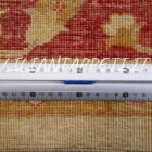 tappeto annodato orientale ziegler fondo avorio da salotto in lana 237x187 cm