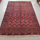 tappeto persiano bukhara curdo da salotto color rosso