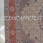 tappeto persiano mud da salotto fondo chiaro rara dimensione quadrato 249x249 cm lana su cotone