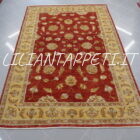 tappeto orientale ziegler da sala fondo rosso 277x185 cm
