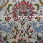 Tappeto Persiano Veramin 302x220-