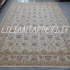 grande tappeto moderno ziegler extra annodato a mano fondo avorio 344x243 cm