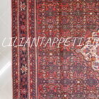 tappeto persiano hamadan, hosseinabad fondo rosso lana su cotone da salotto 304x220 cm