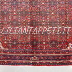 tappeto persiano hamadan, hosseinabad fondo rosso lana su cotone da salotto 304x220 cm