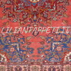 antico tappeto persiano tafresh elegante da salotto 190x132 cm lana su cotone fondo rosso salmone e bordura color dughi