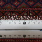 tappeto orientale bukhara russo tekke da salotto 330x250 cm