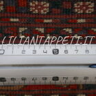 tappeto orientale bukhara russo salor da salotto 335x202 cm fondo color cammello e gul rossi