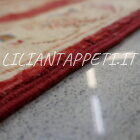 scendiletti orientali ziegler color rosso circa 90x60 cm
